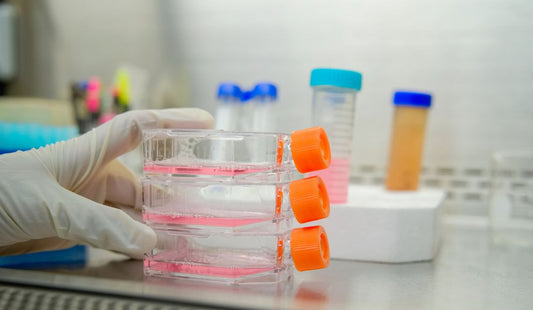 Cell Culture Fundamentals