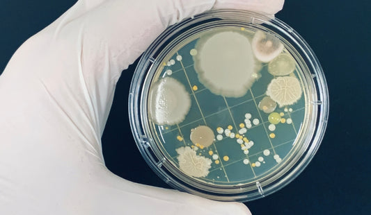 Pharma Industrial Microbiology Training