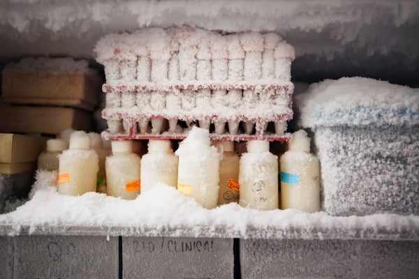 Exploring the Differences Between Auto and Manual Defrost Freezers