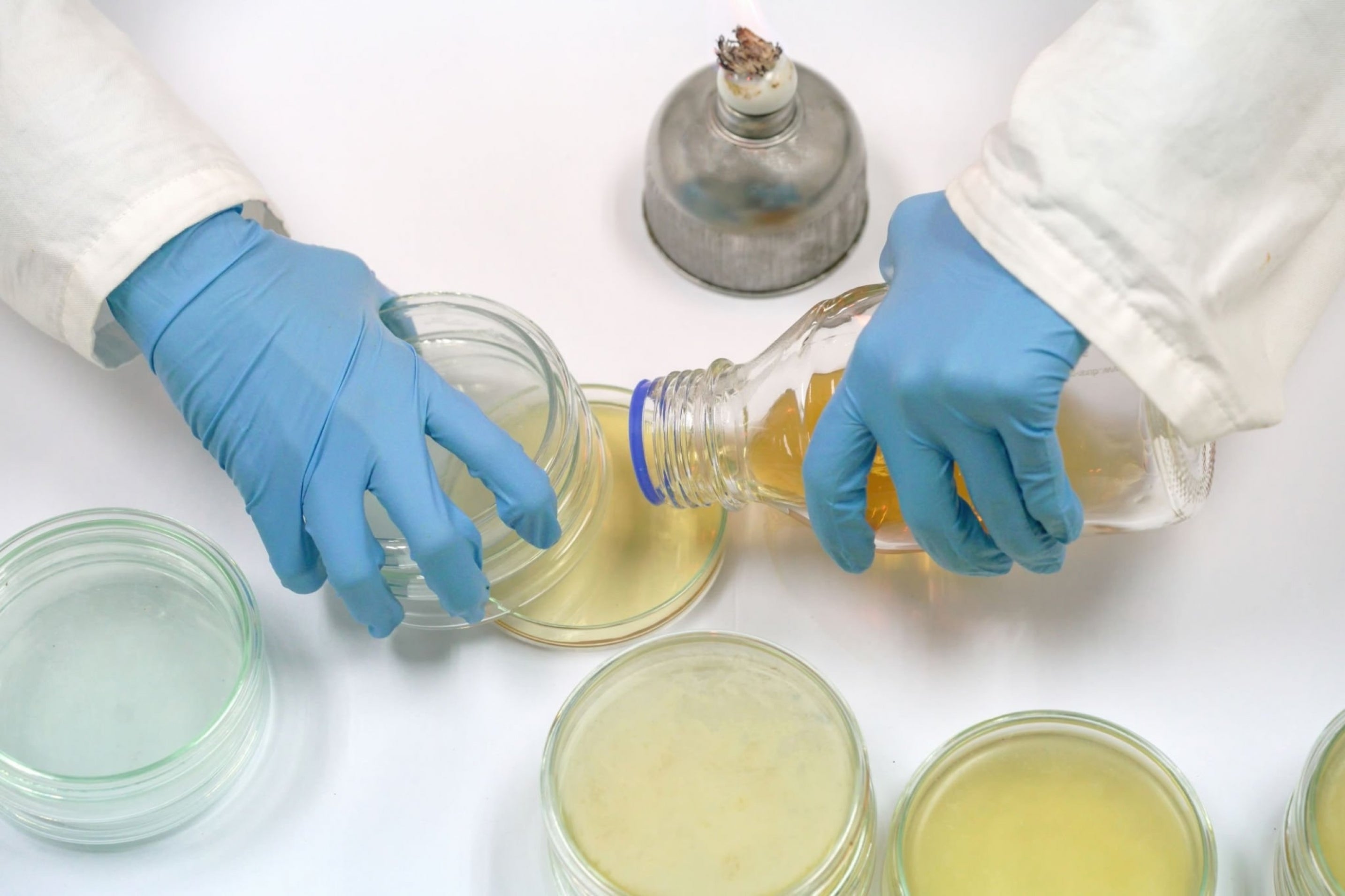 Microbial Culture Media Preparation FCBIOS SDN BHD