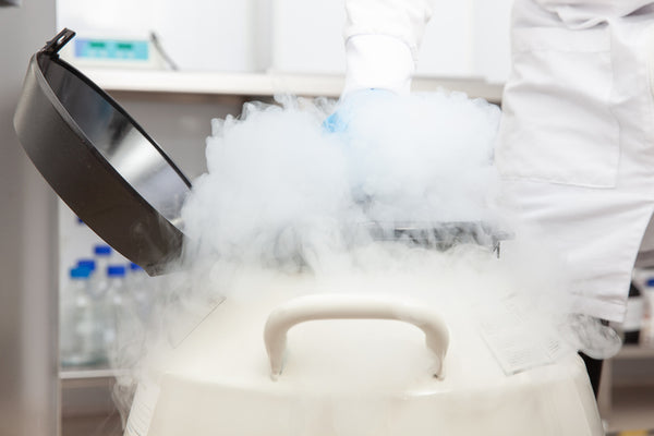 Mastering the Art of Cryopreservation: Exploring the Fundamentals