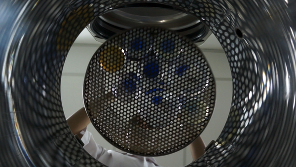 Autoclave Tape vs. Biological Indicators: Which One Should You Use?