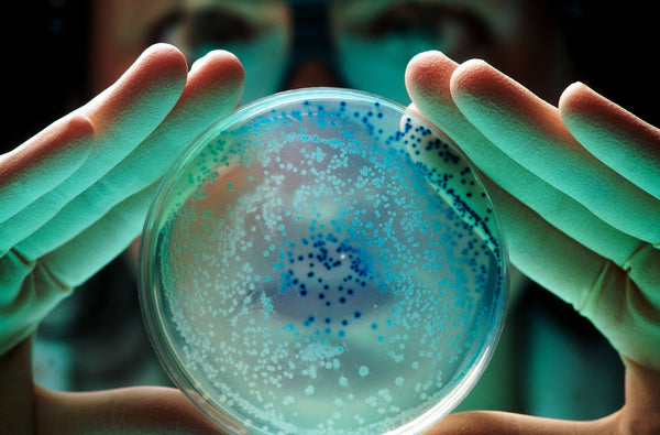 Manual vs. Automated Antimicrobial Susceptibility Testing - Which Approach Wins?