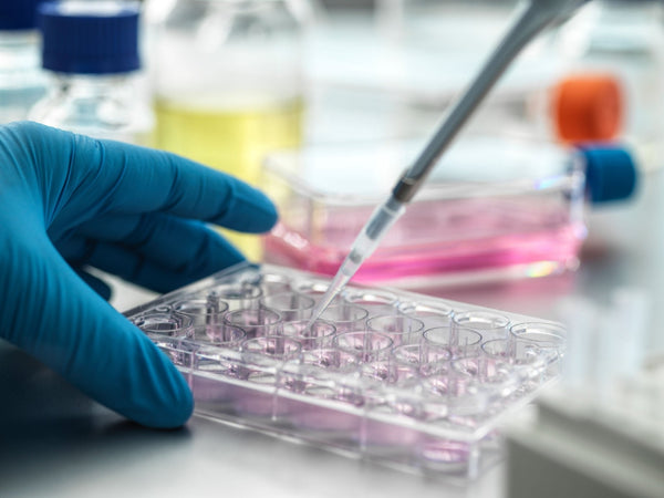 A Guide to Proper Pipetting Techniques