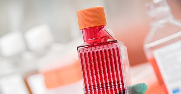 Advanced Cell Culture
