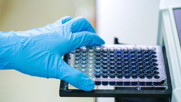 Microplate Readers: Essential Tools for Scientific Research