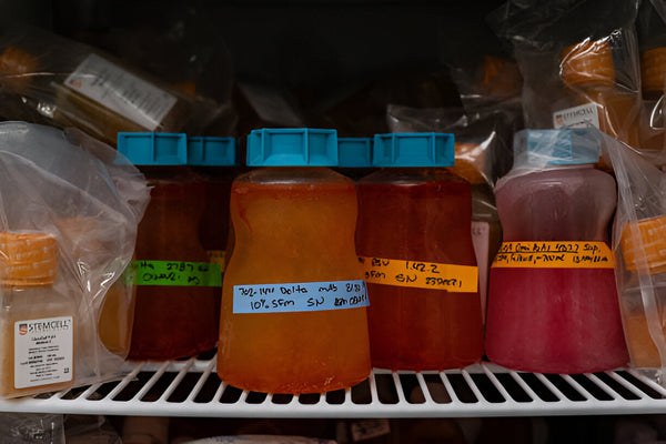 Storing & Organizing Refrigerated Medicines The Right Way