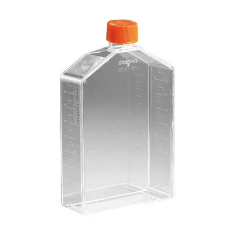 175 cm² Cell Culture Flask with Vent Cap