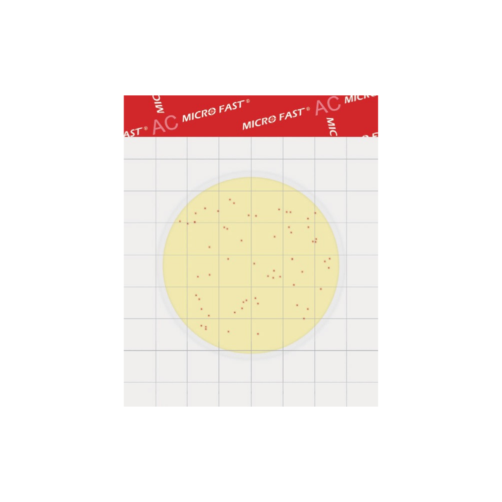 Counting Plate Design Rapid Count Plate Solutions | Microbial Detection for Food Safety – FC ...