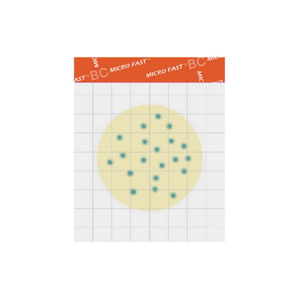 MicroFast® Bacillus cereus Count Plate (BC)