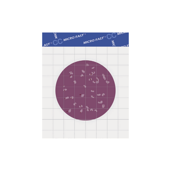 MicroFast® Coliform Count Plate (CC)