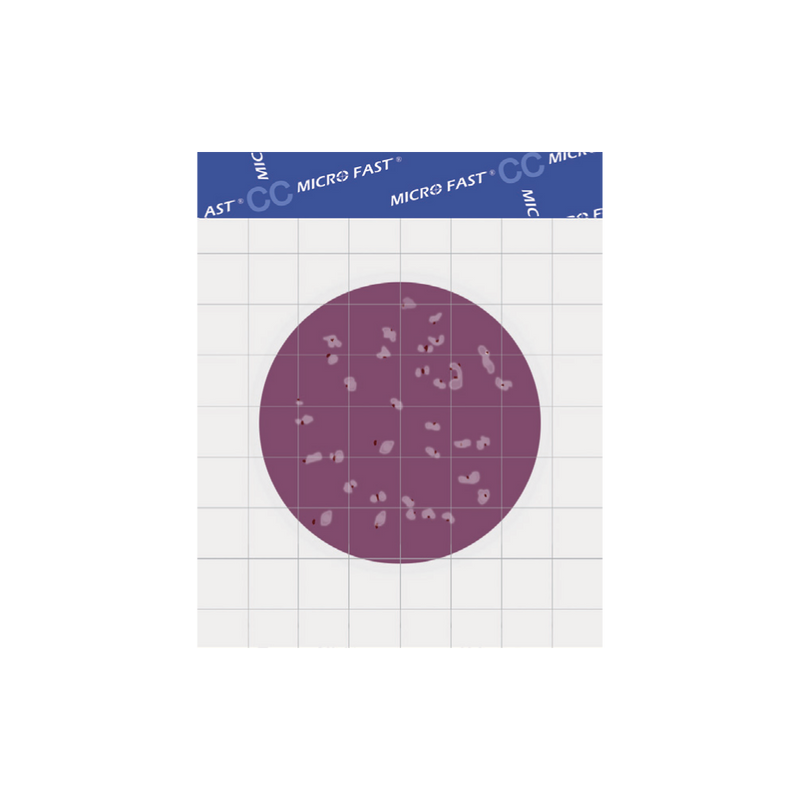 MicroFast® Coliform Count Plate (CC)