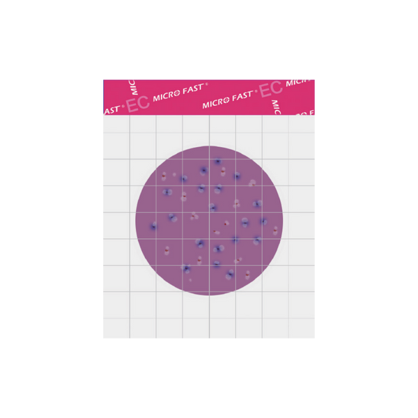 MicroFast® Coliform & E. coli Count Plate (EC)