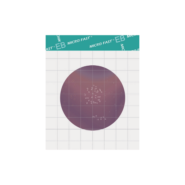MicroFast® Enterobacteriaceae Count Plate (EB)