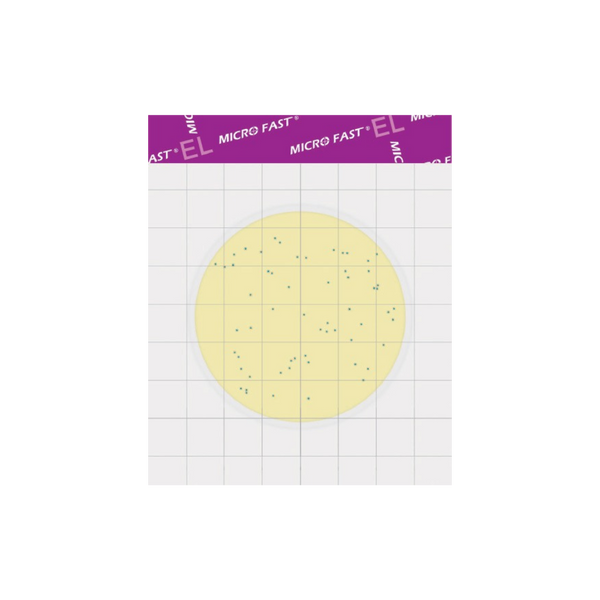 MicroFast® Environmental Listeria Count Plate (EL)
