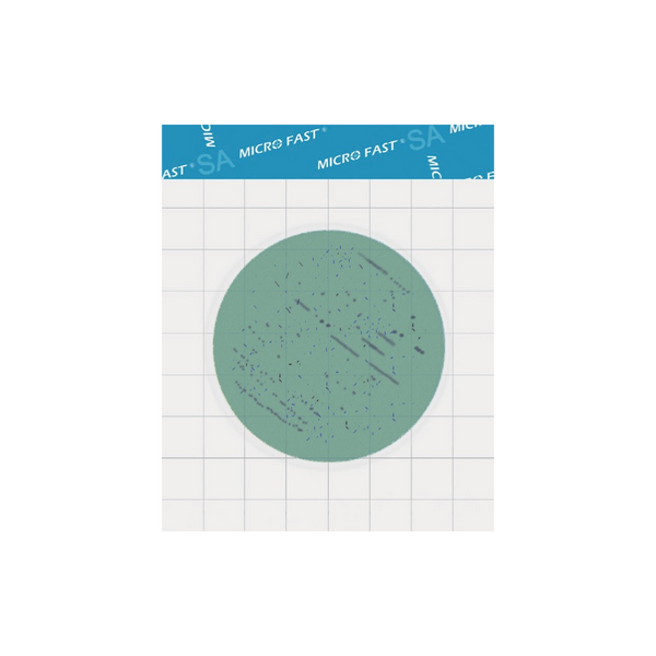 MicroFast® Staphylococcus aureus Confirmation Plate