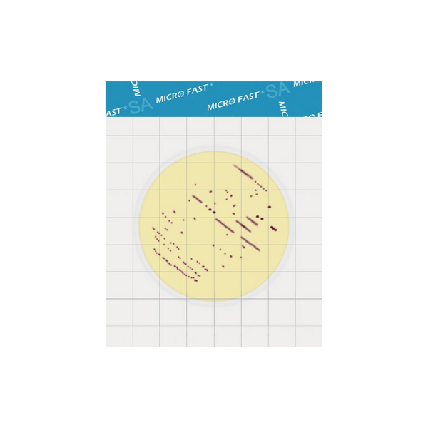 MicroFast® Staphylococcus aureus Count Plate (SA)