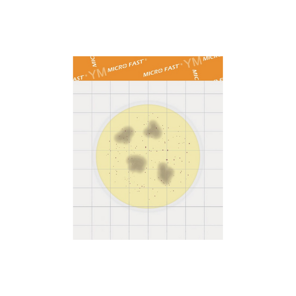 MicroFast® Yeast and Mold Count Plate (YM)