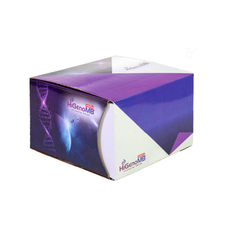 HiPurA® Yeast Plasmid DNA Purification Kit (20 Number of Preparation)
