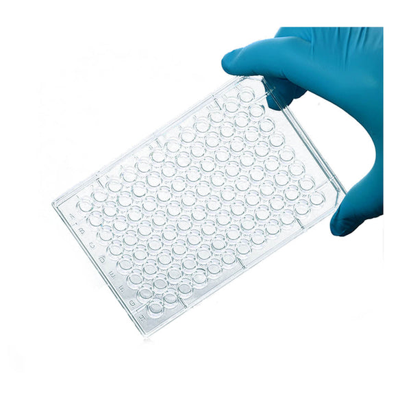 Cell Culture Plate 96 wells (TC-treated)